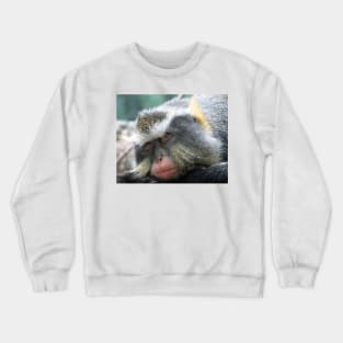 Macaque,Sleeping,Old World Monkeys Crewneck Sweatshirt